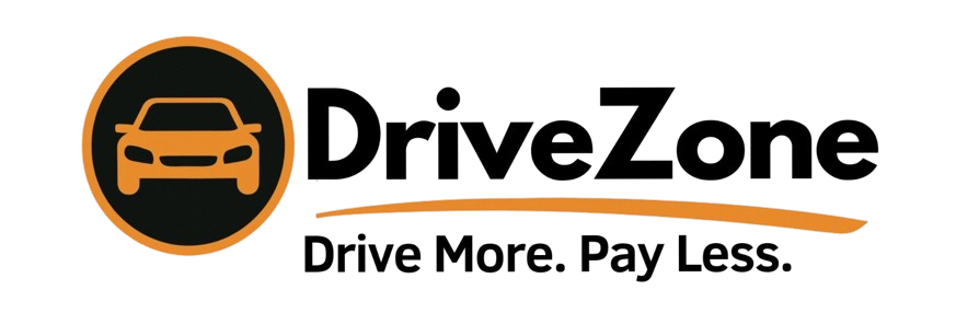 DriveZone — AiRentoSoft customer DriveZone — AiRentoSoft customer